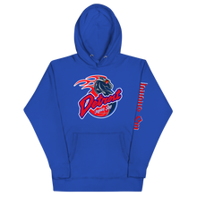 Load image into Gallery viewer, 04 Pistons Hoodie
