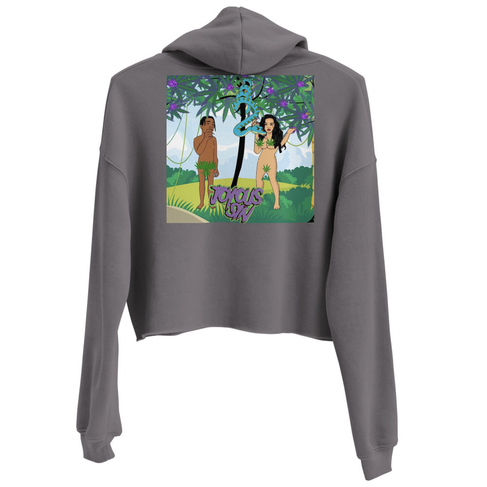 Joyous Sin Womens Crop Hoodie