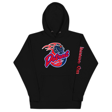 Load image into Gallery viewer, 04 Pistons Hoodie
